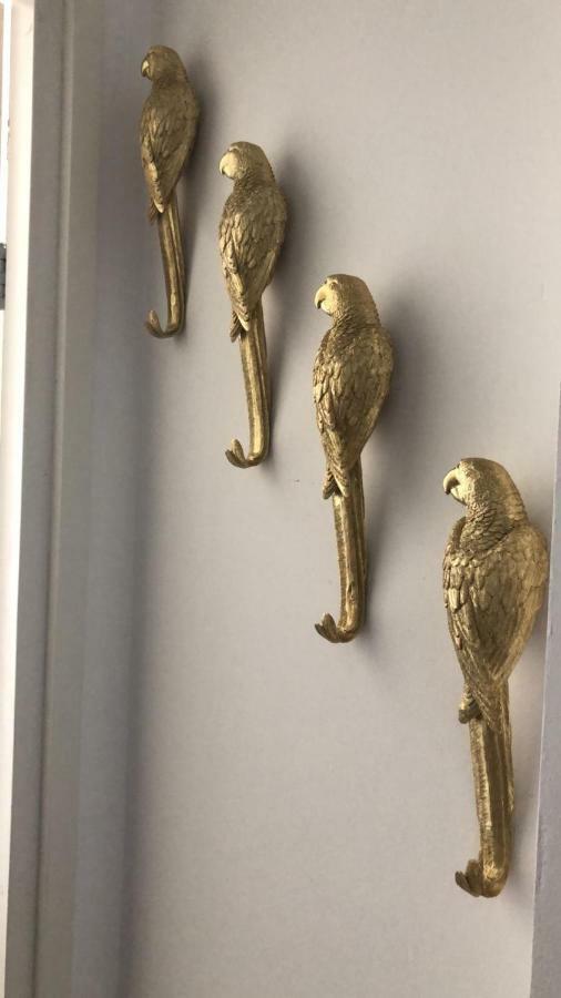 Apartament Butterfly Groningen Zewnętrze zdjęcie